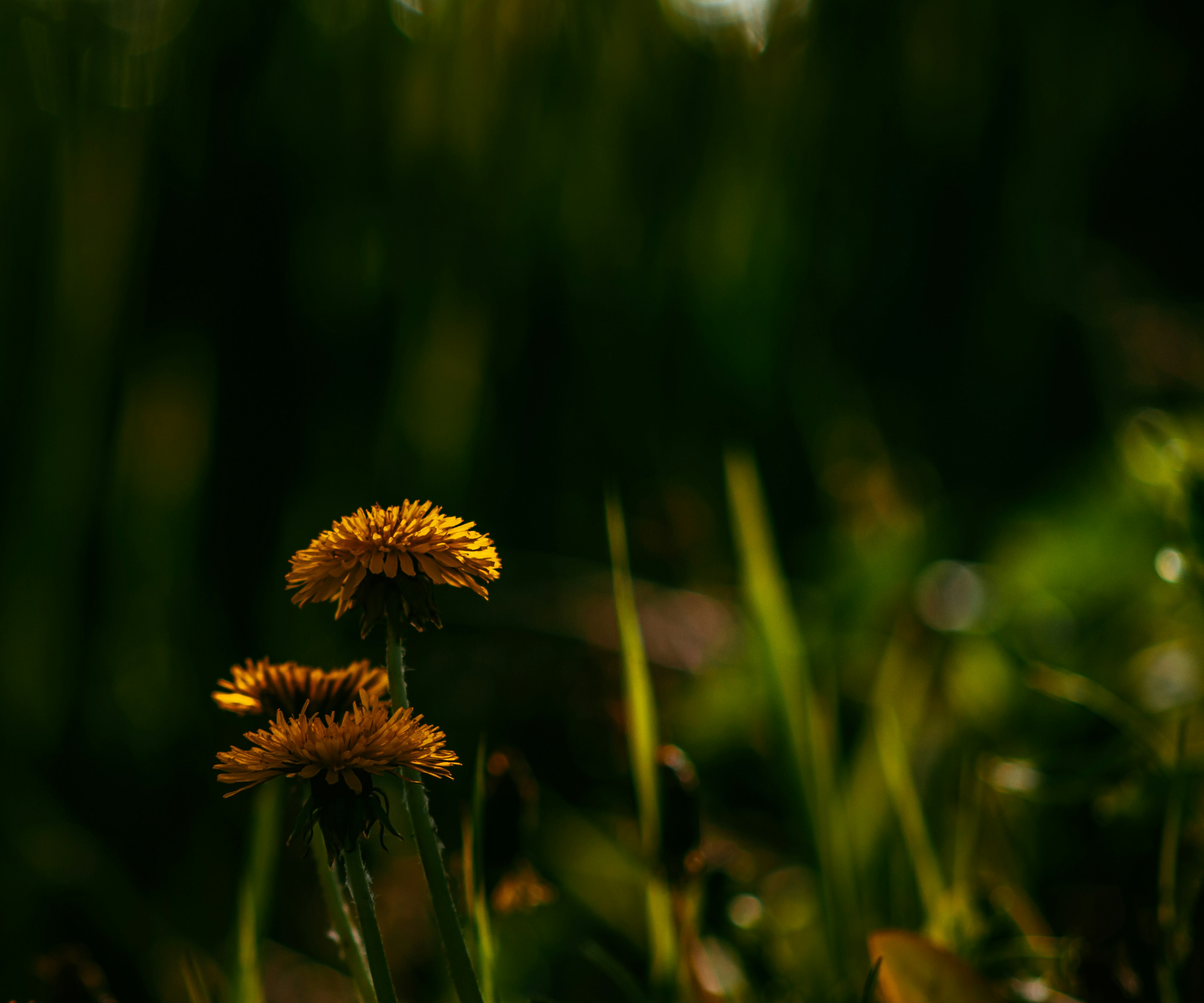 Photo by wladkiselev