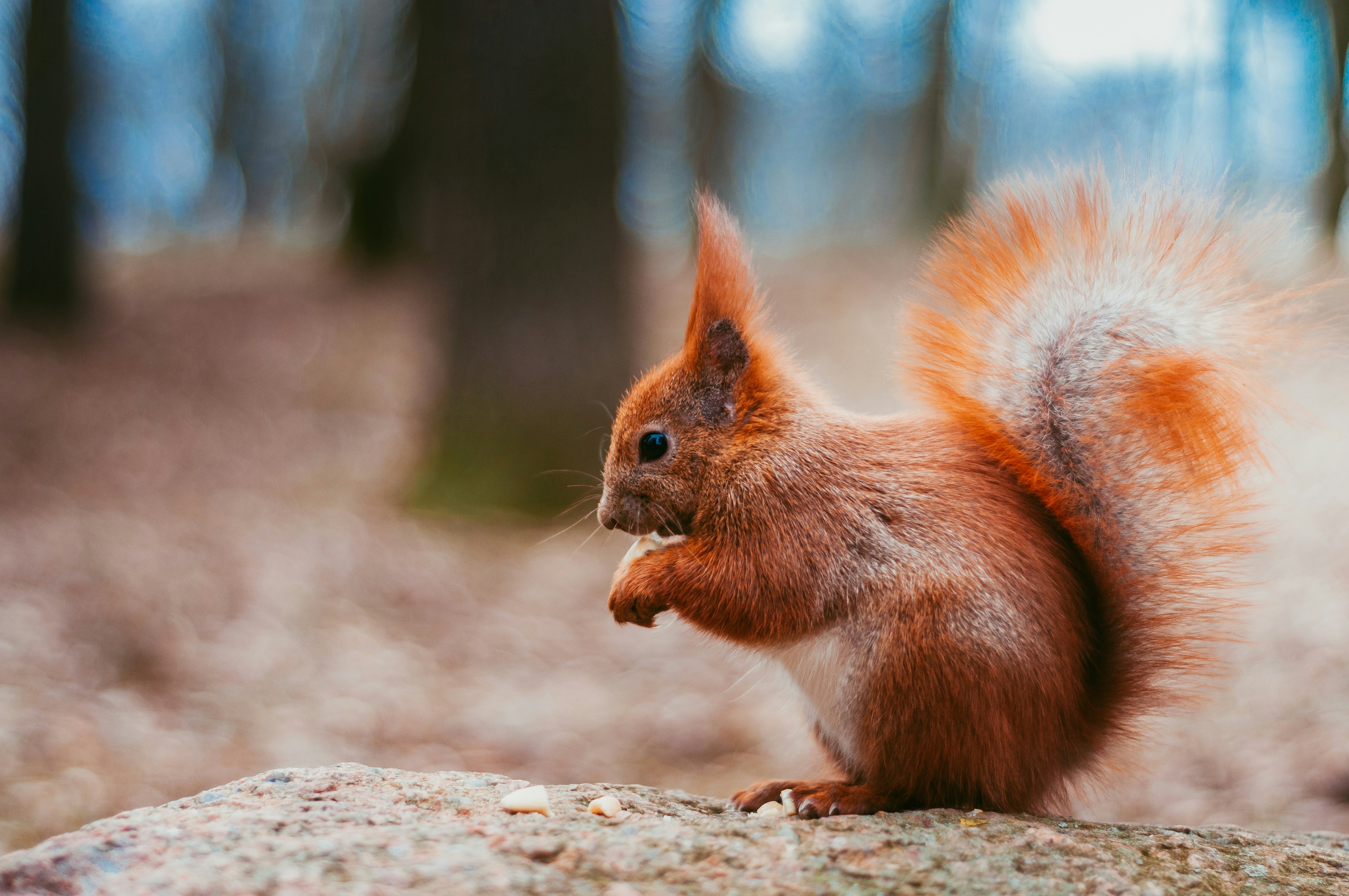 Photo by wladkiselev