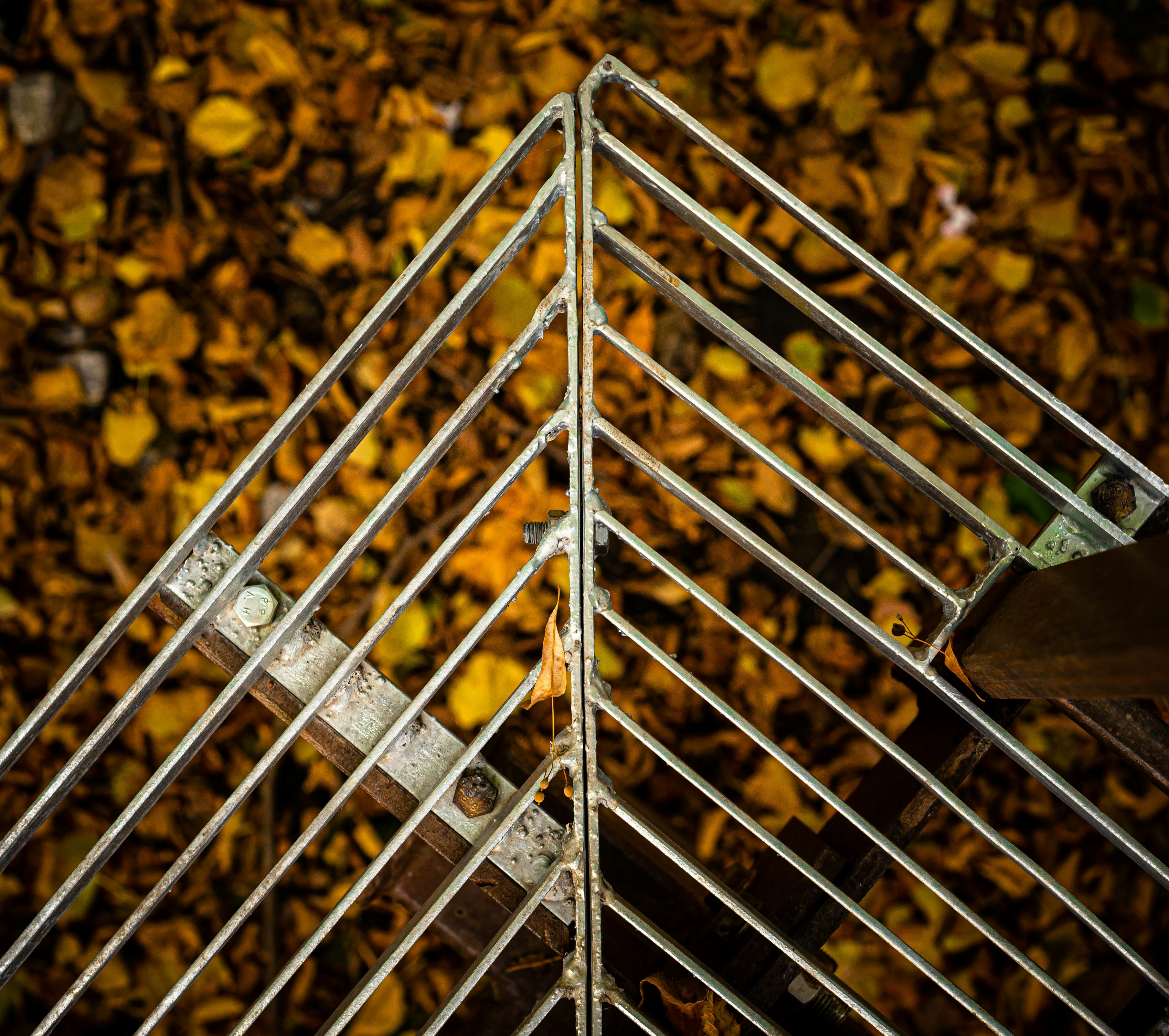 Image by Vlad Kiselov via Unsplash