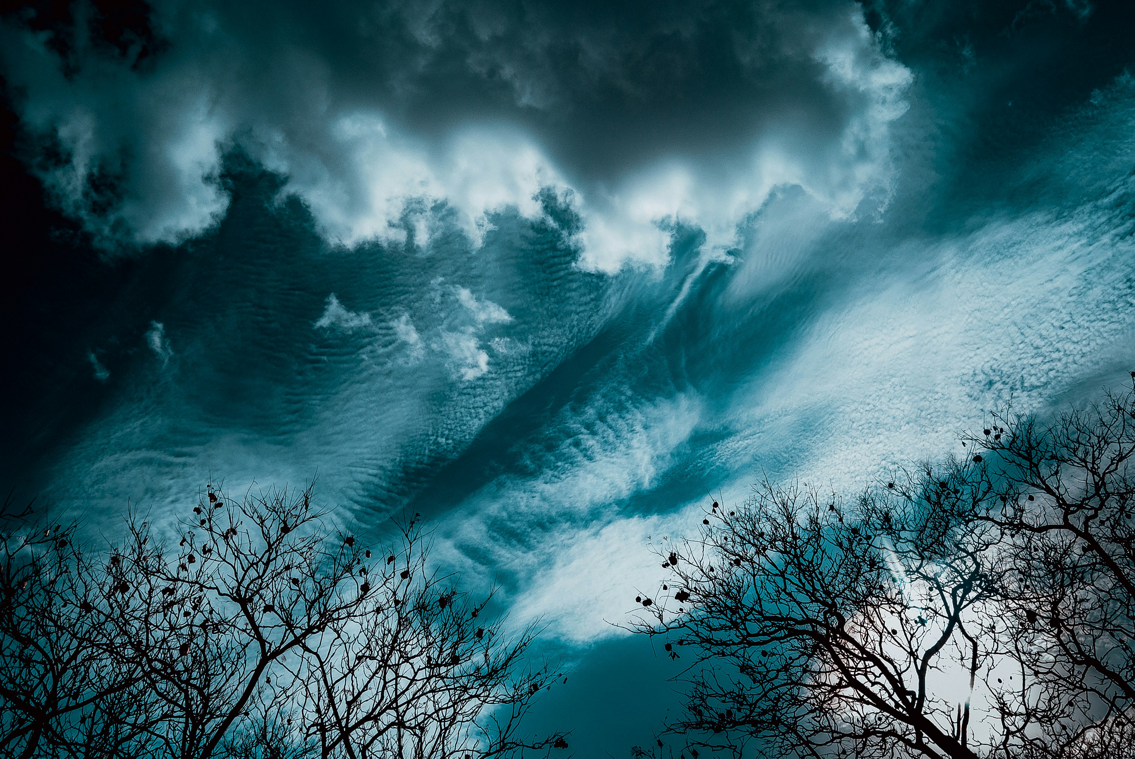 Photo by peinge_nakale995