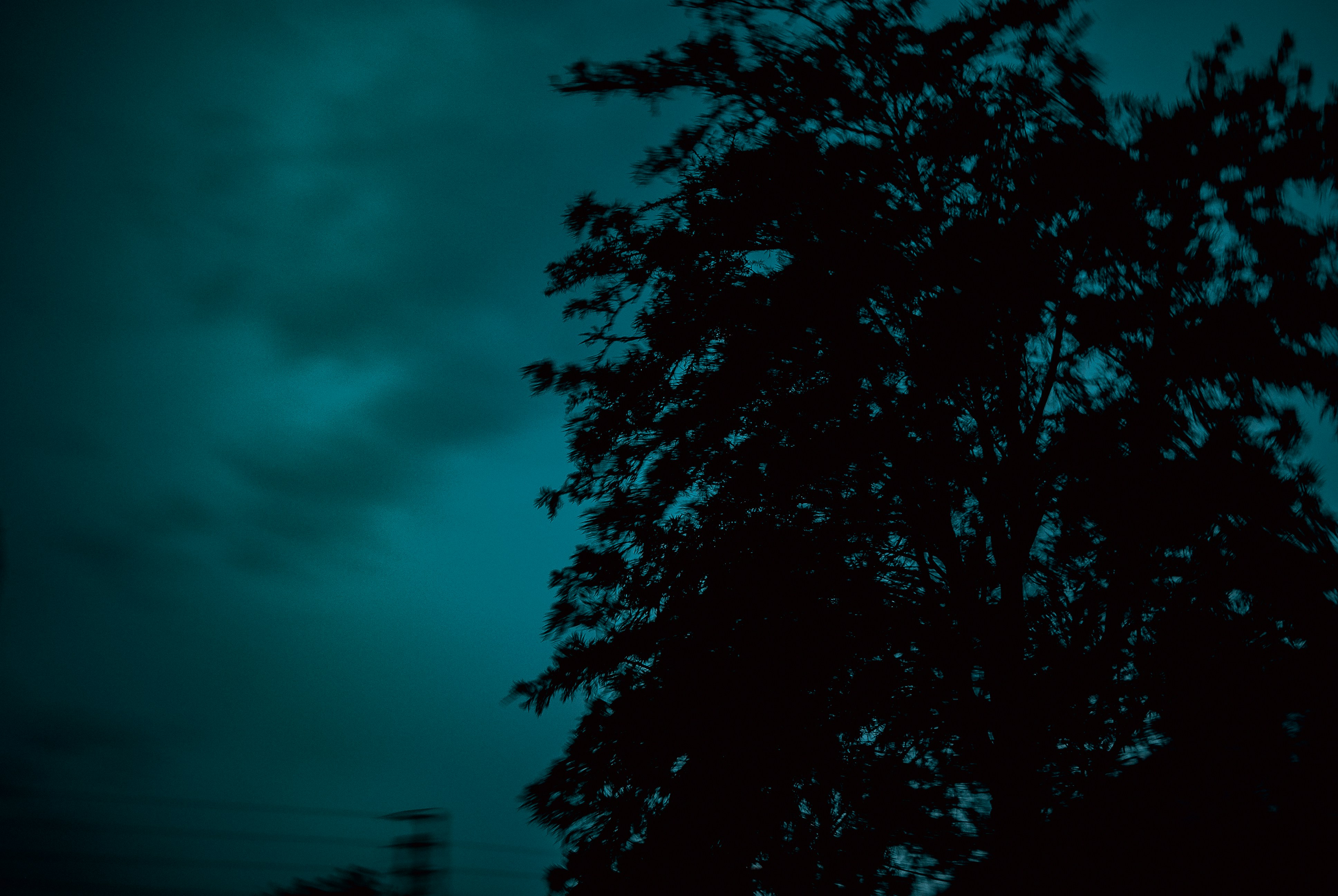 Photo by peinge_nakale995