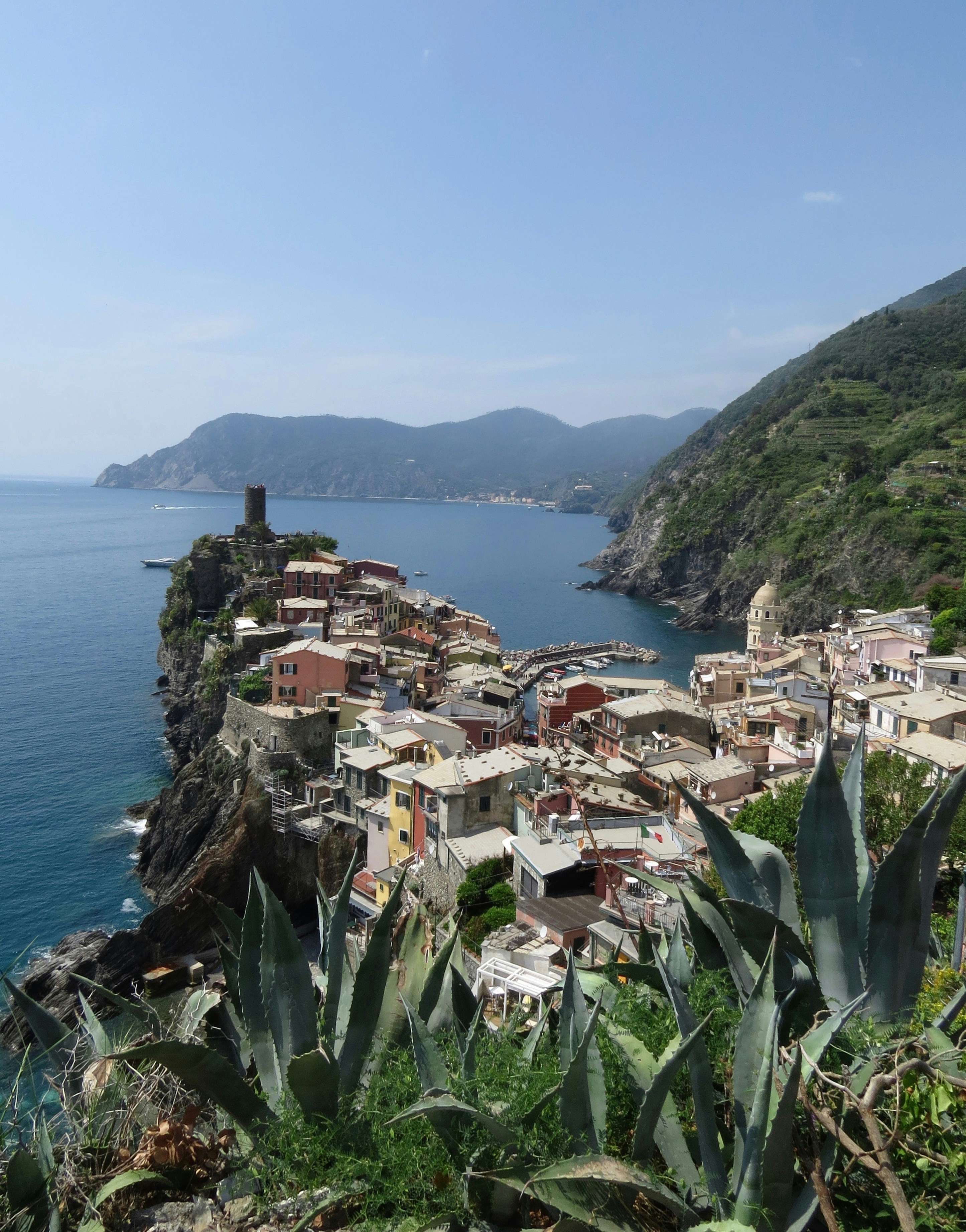 aerial photograph of town beside sea