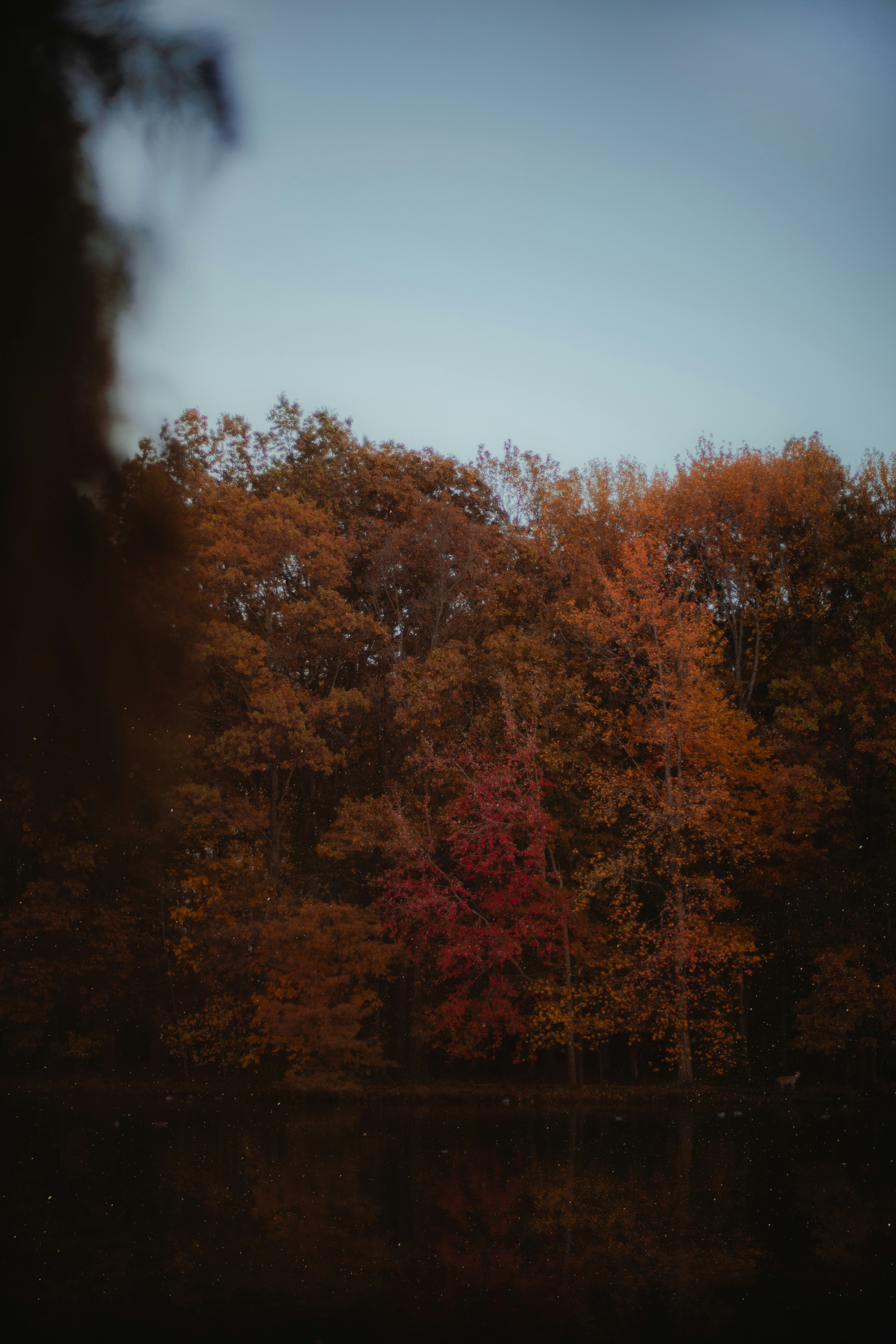 Photo by hebergalindo