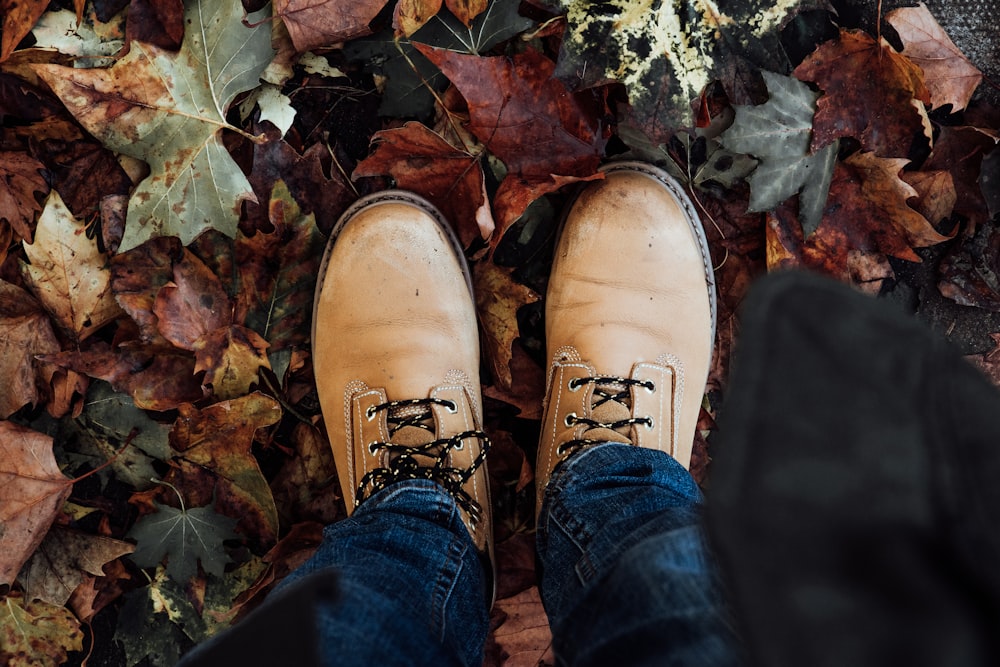 person in beige leather lace-up shoes