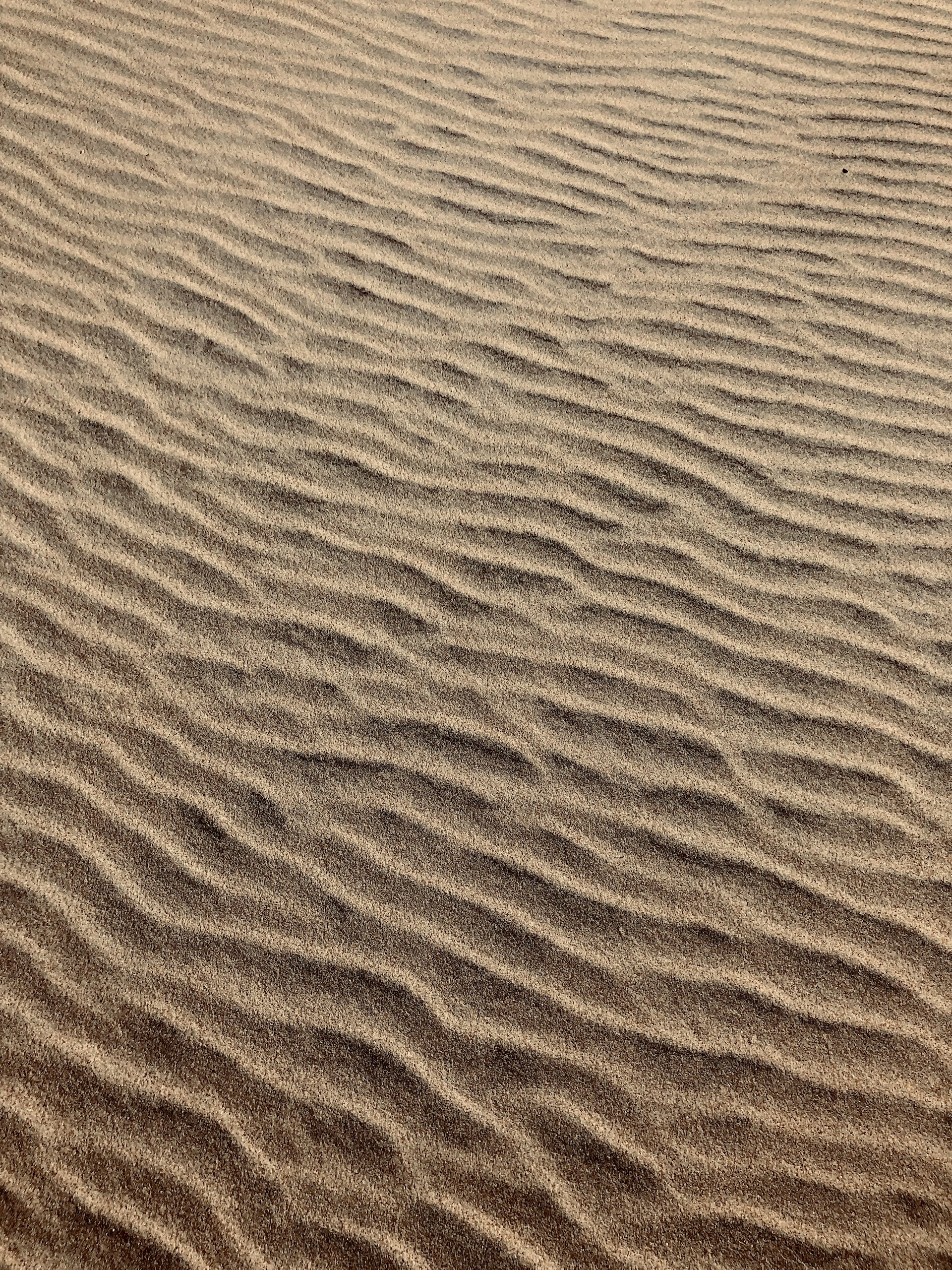 photo of sand dune