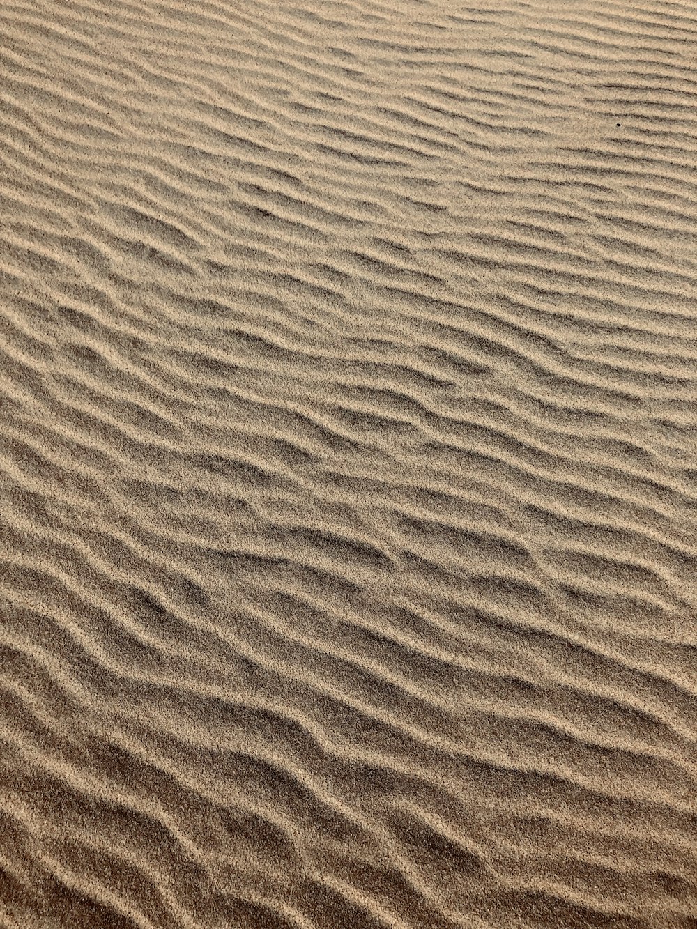 photo of sand dune