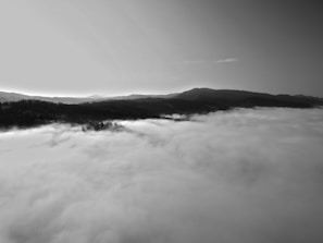 A serene black and white landscape capturing the calmness of early morning fog.