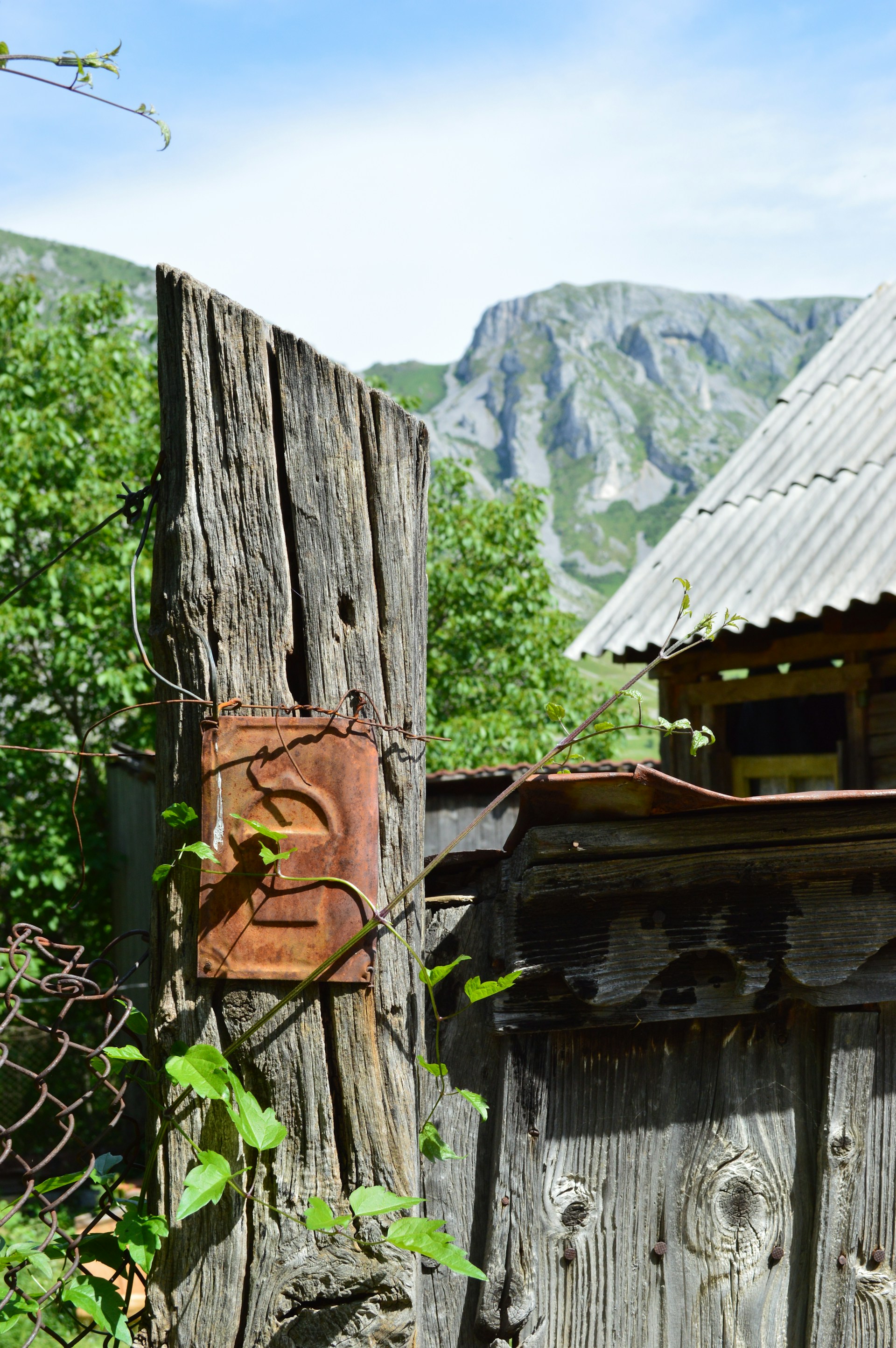 gray computer monitor