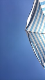 A blue sky dominates the background with the edge of a striped blue and white umbrella appearing from the side, suggesting a sunny day likely at a beach or outdoor setting.