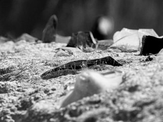 A close-up view of a rough, textured surface with pieces of broken glass scattered across it. The glass shards reflect light and are partially embedded in the surface, with some blades of grass visible among them. The background appears blurred, adding to the focus on the glass pieces.