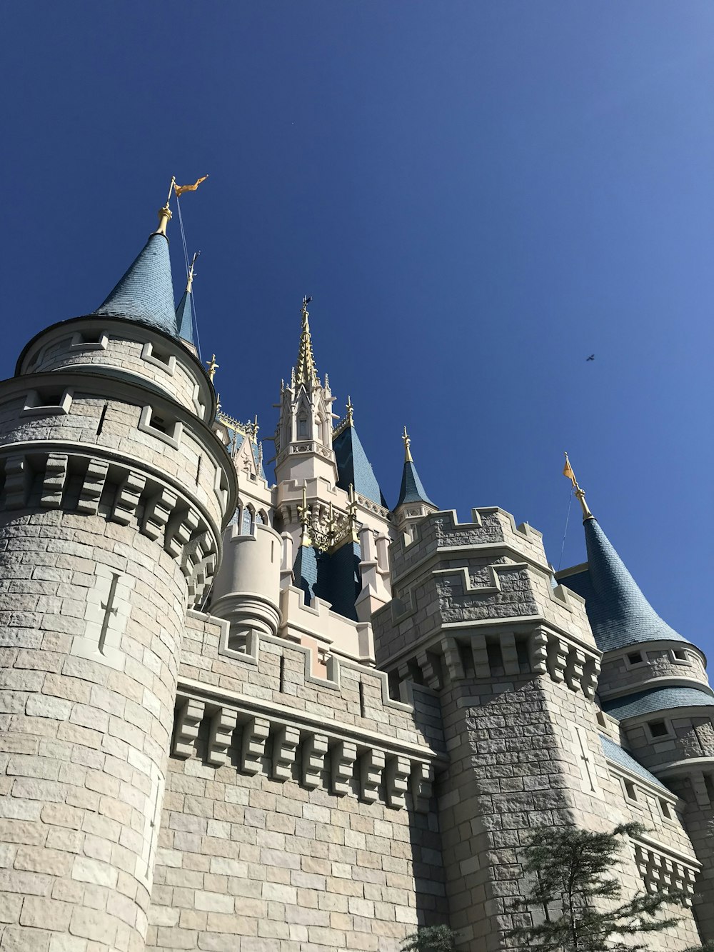 architectural photography of gray and blue castle