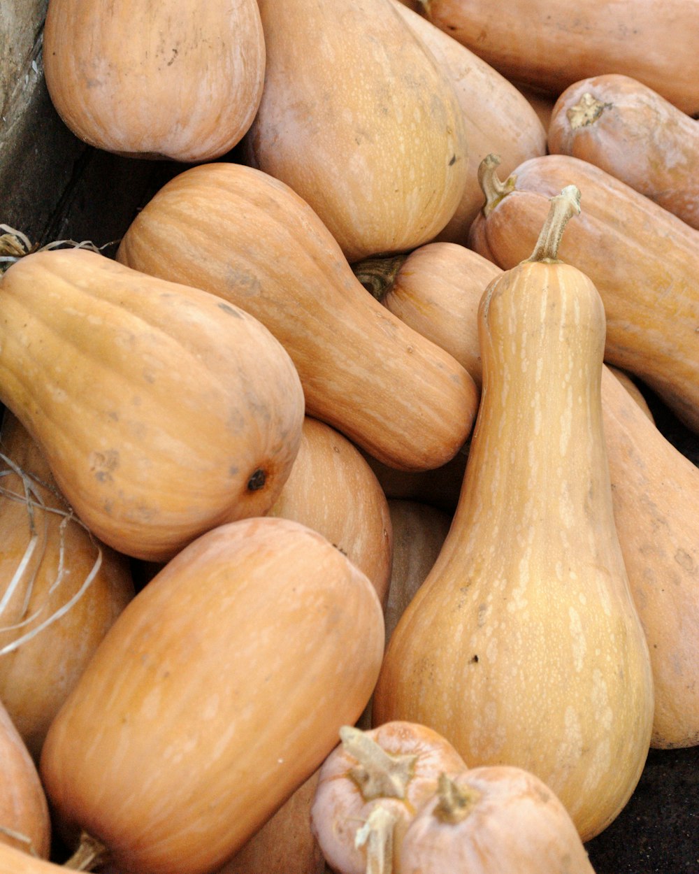 Verduras de calabaza naranja