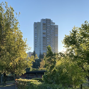 high-rise building near trees at daytime