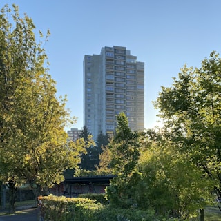 high-rise building near trees at daytime