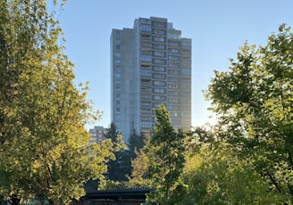 high-rise building near trees at daytime