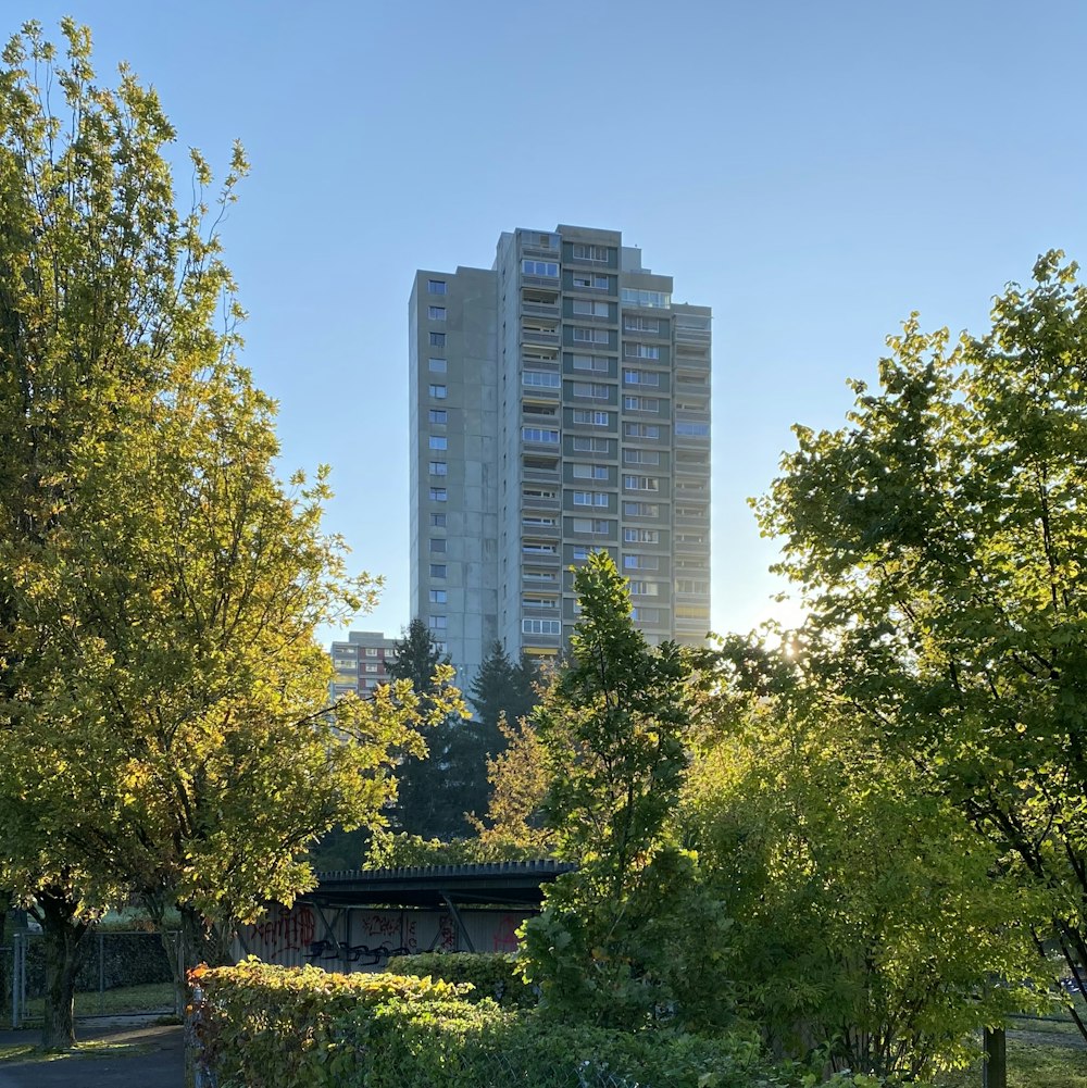 high-rise building near trees at daytime