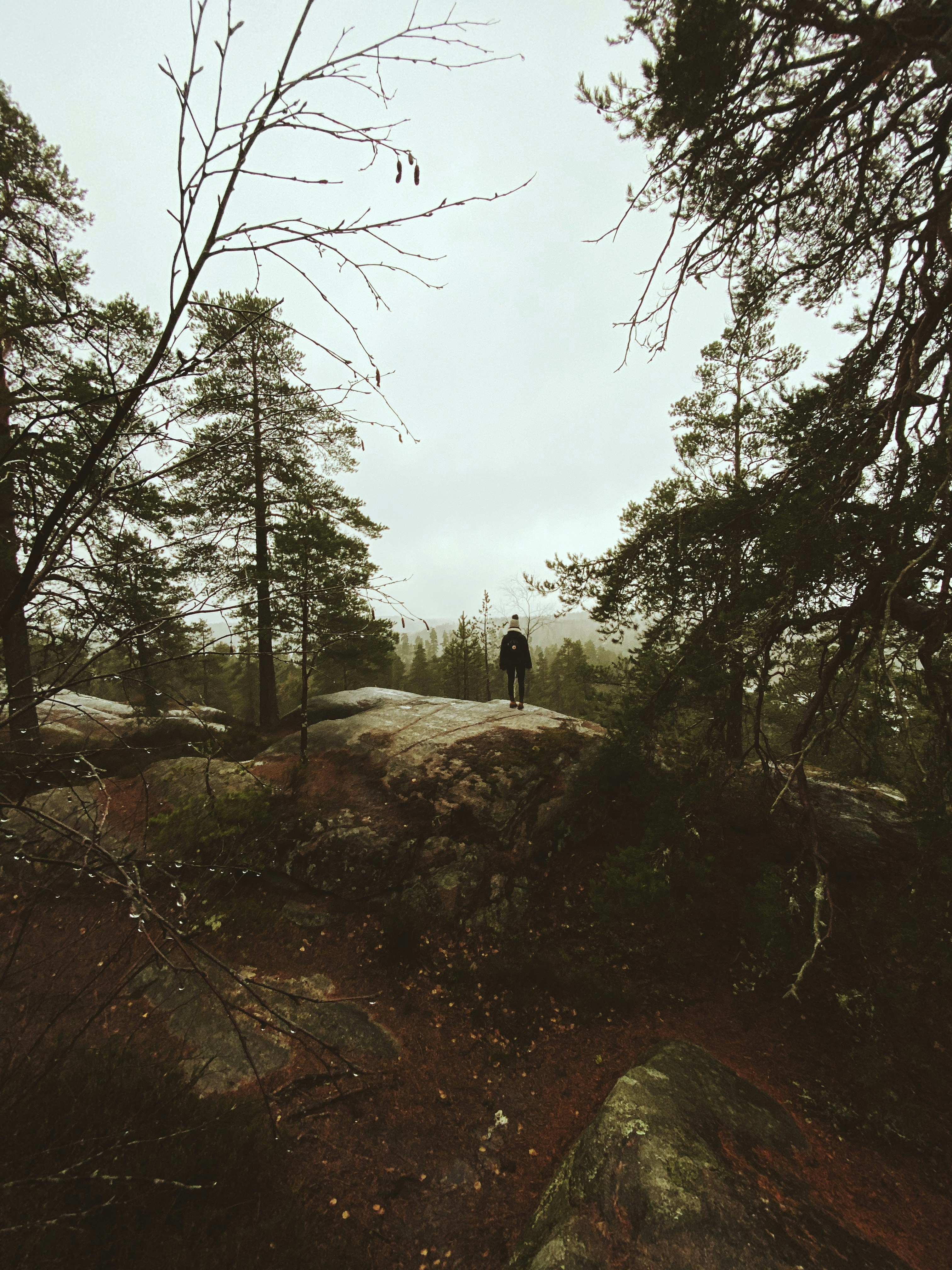 silhouette photo of man beside trees