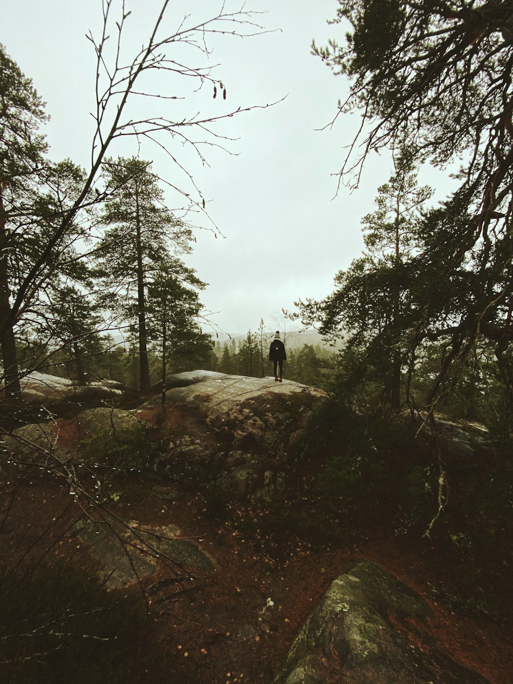 silhouette photo of man beside trees