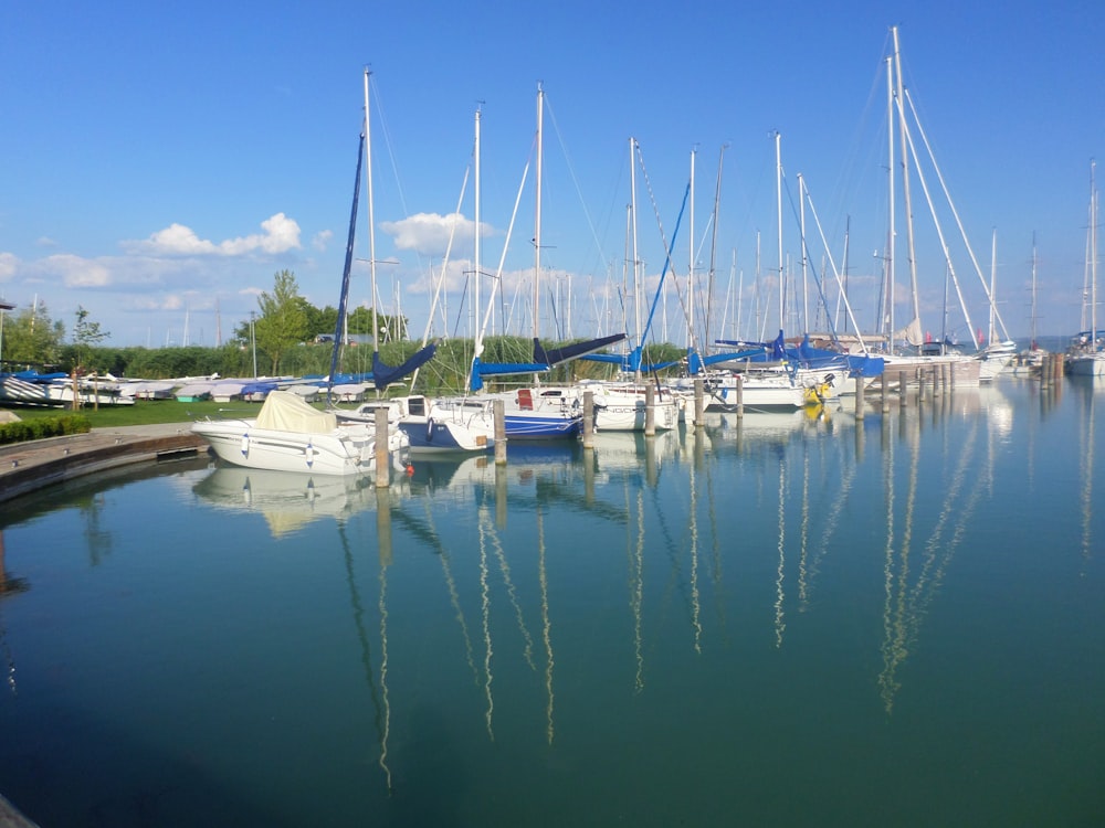 white-and-blue sailboats