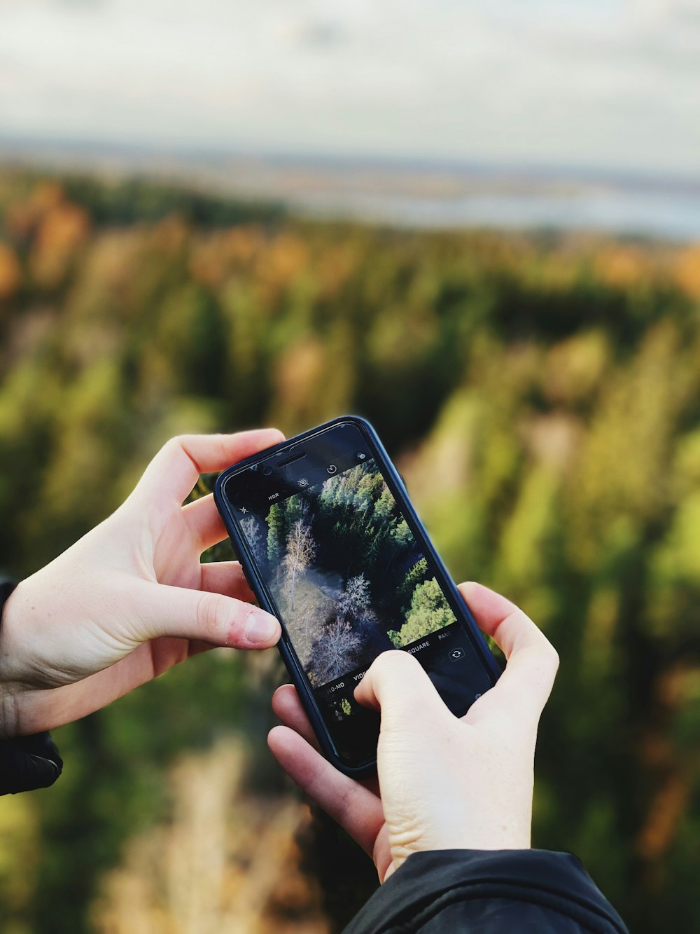 person taking photo of green pine trees using black smartphone
