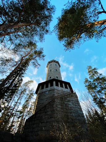 low angle photo of castle beside trees
