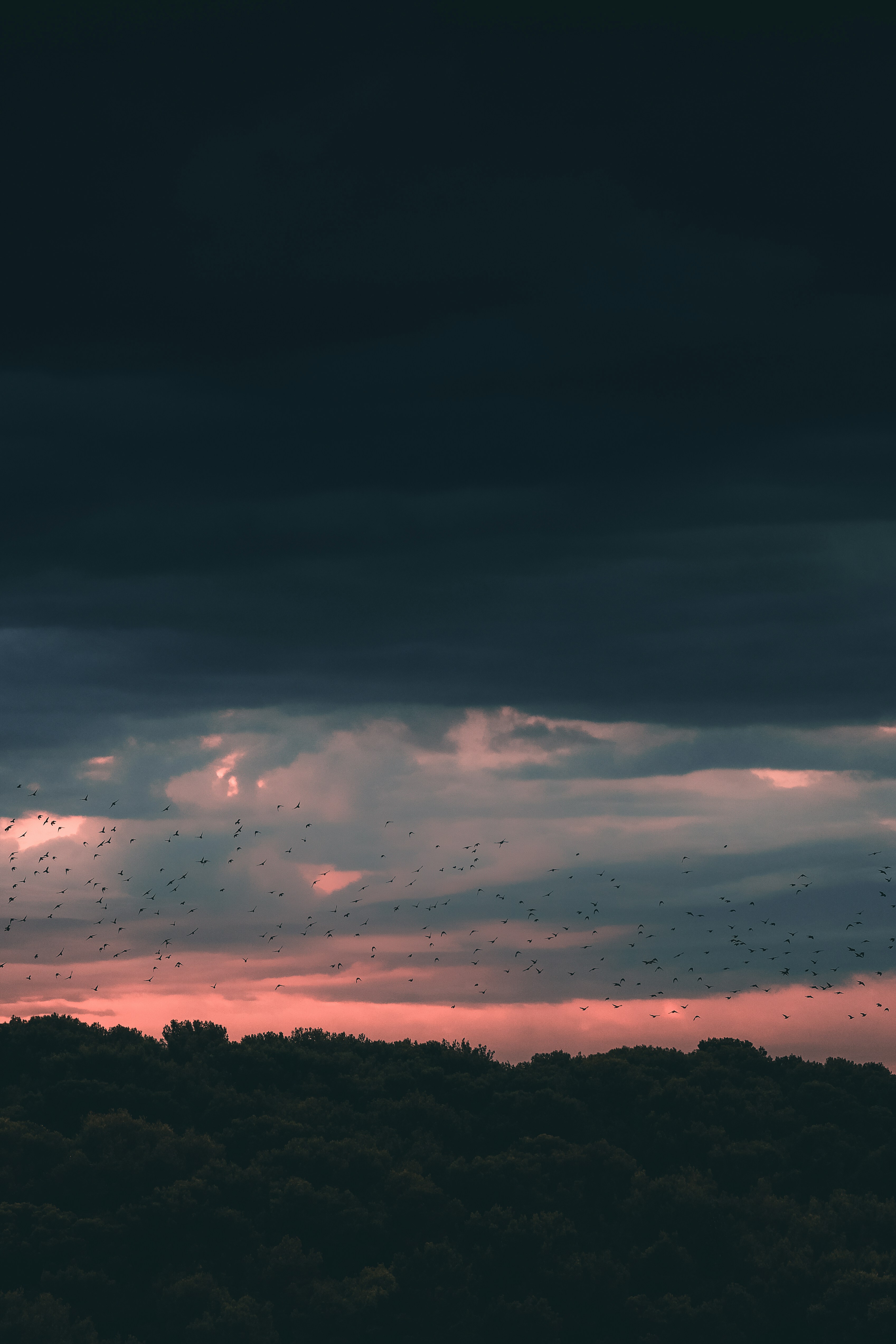 Photo by kevinmueller