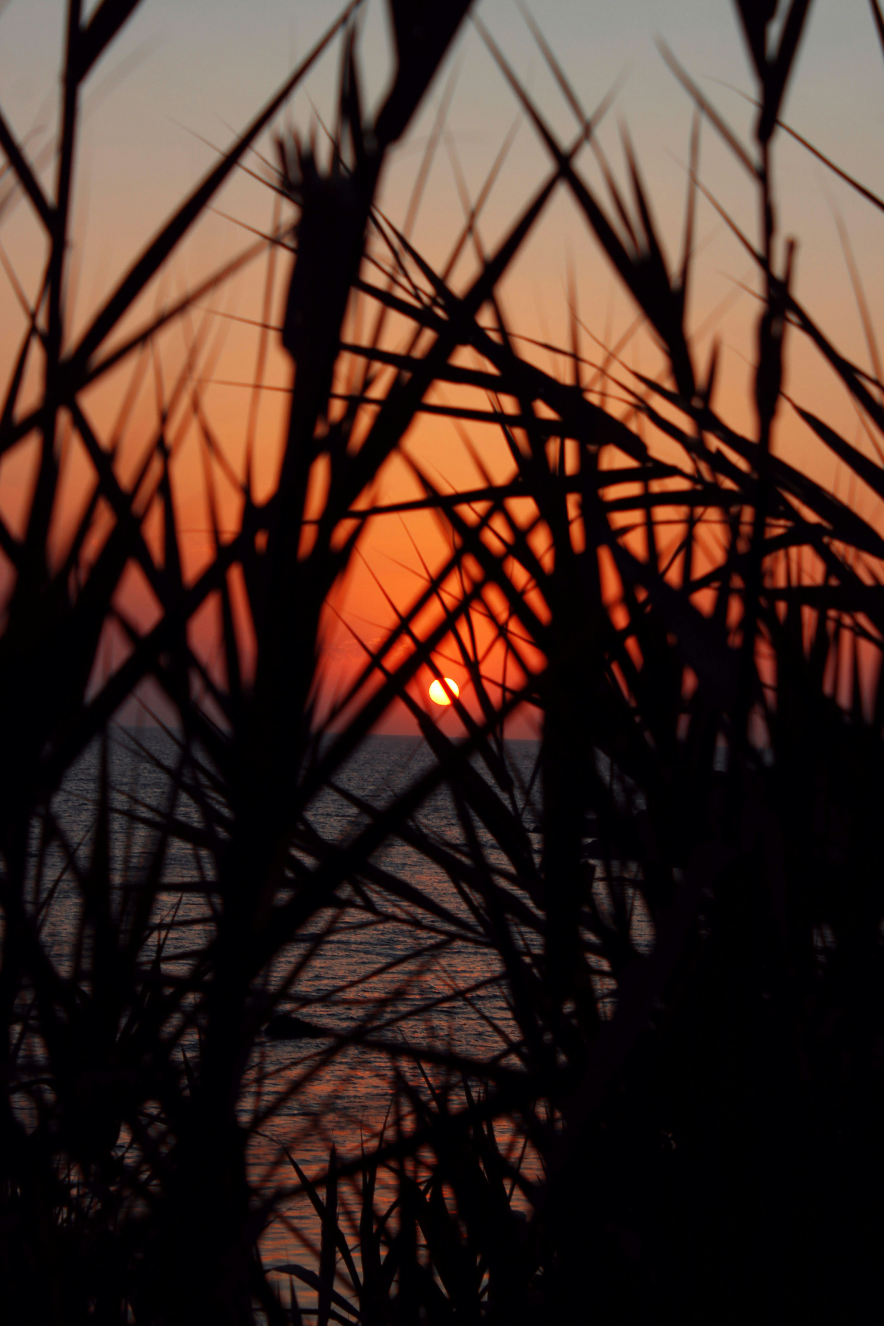 Photo by bouchraphgraphie