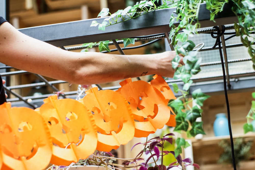 Jack O Lantern decors