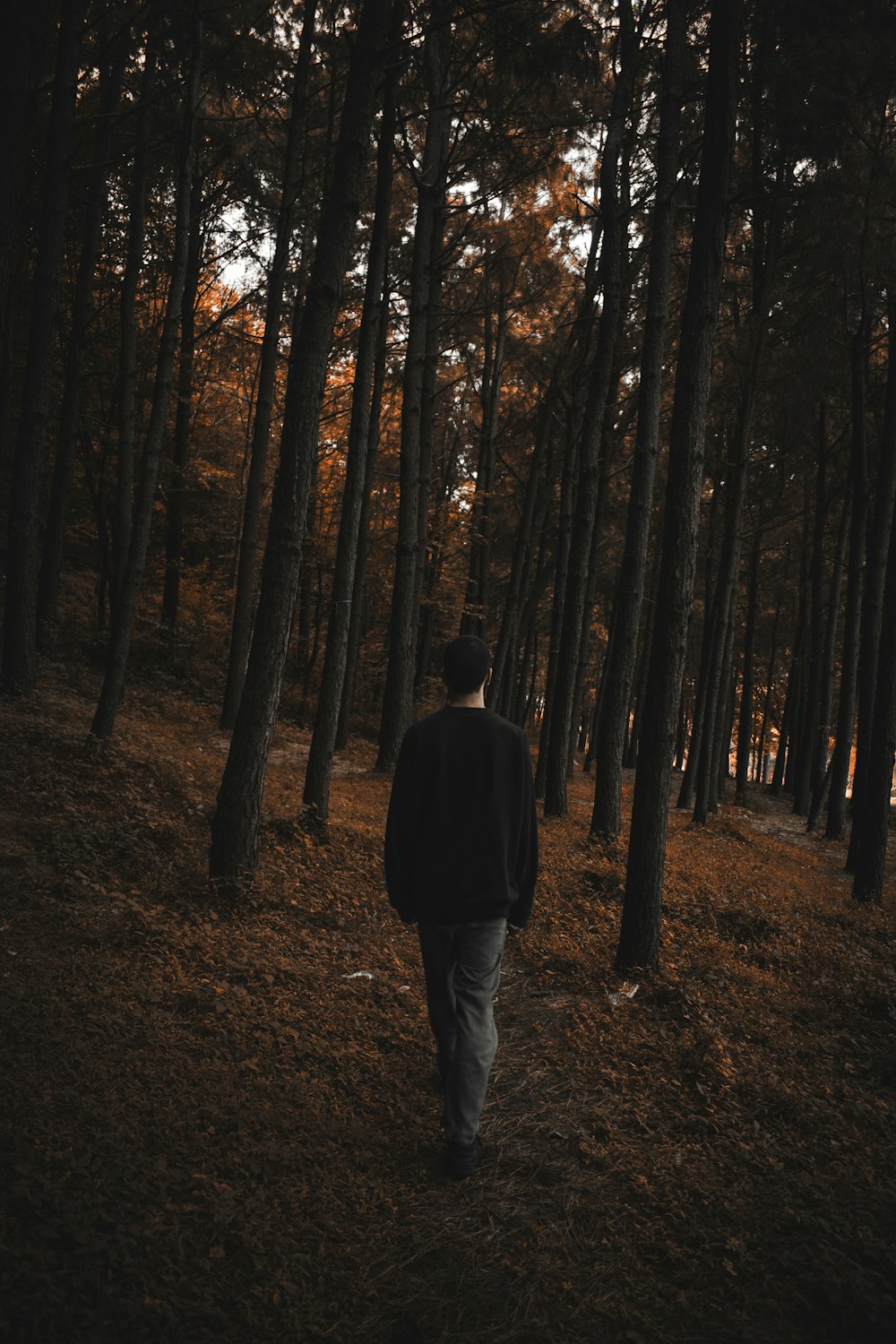 man walking under trees