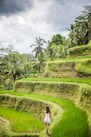 woman wearing white blouse walking on rice field