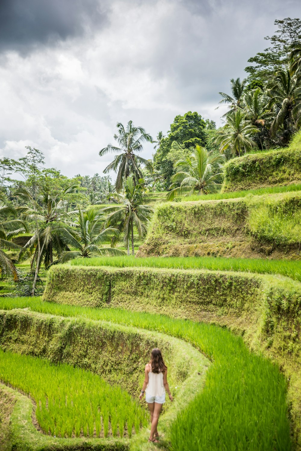 woman wearing white blouse walking on rice field