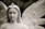 A serene stone statue of an angel with gentle features and detailed, feathered wings. The angel has a calm expression with closed eyes and wavy hair. A small star adorns its head, giving it an ethereal quality.