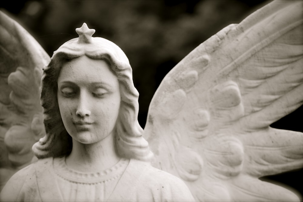 photo of angel statue