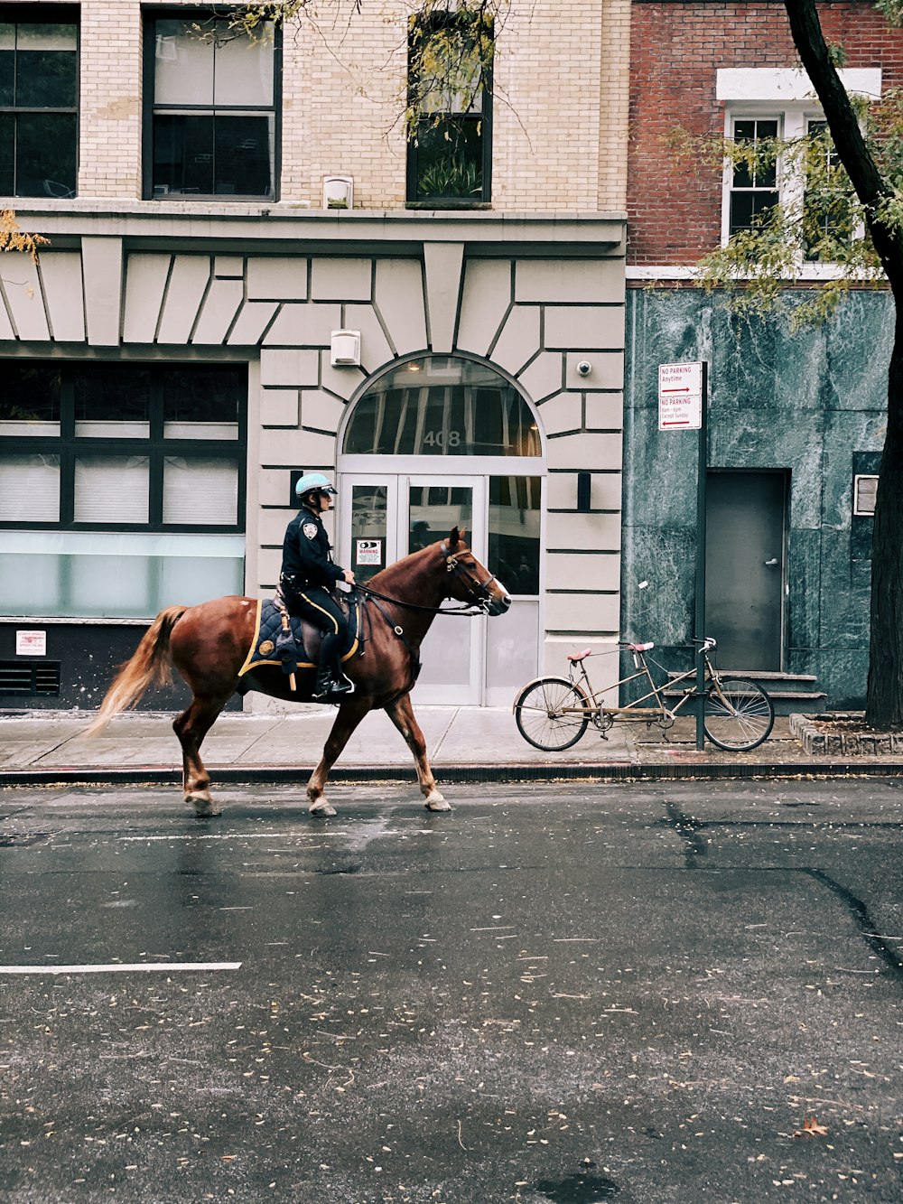 person riding horse during daytime