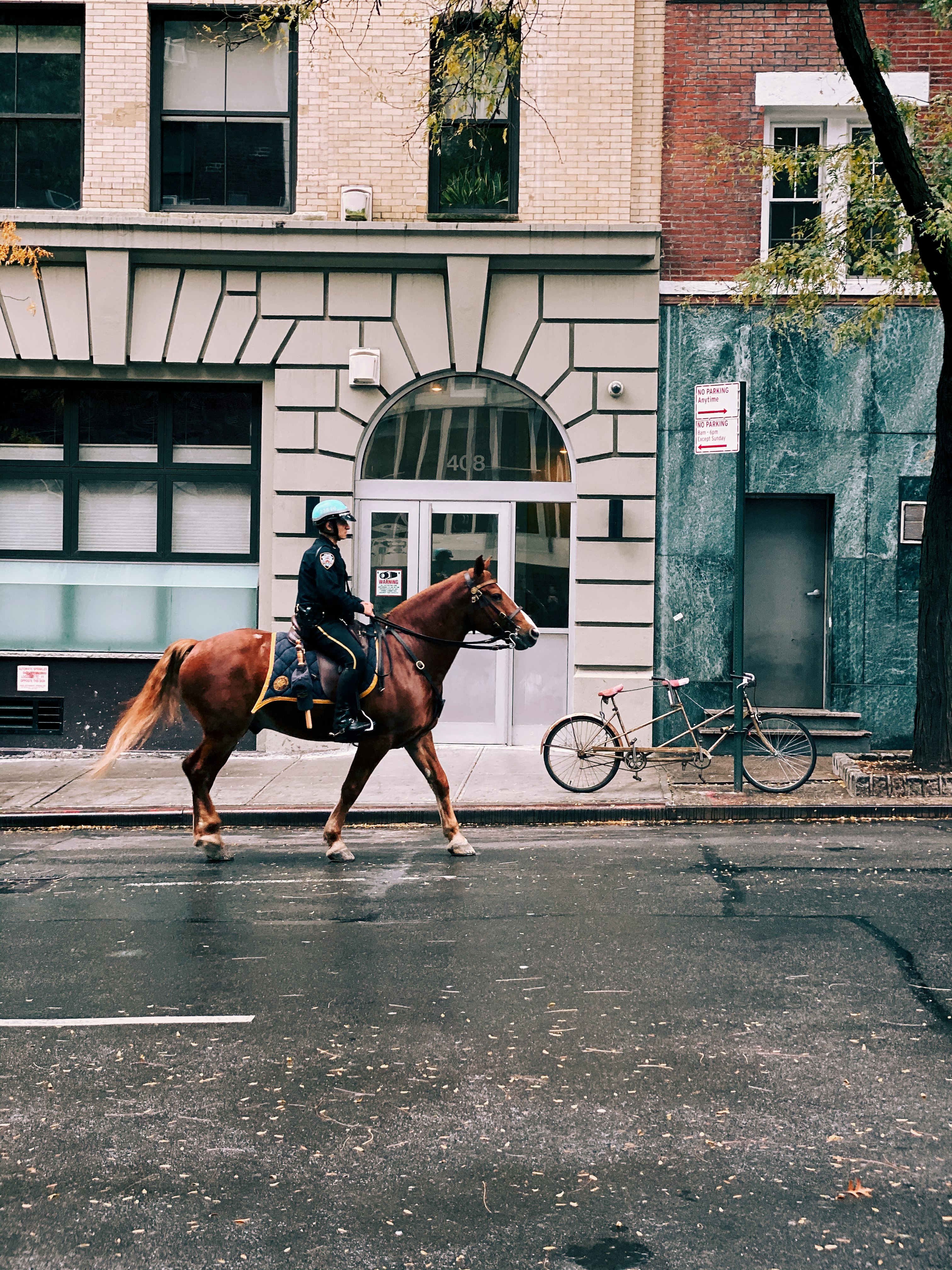 person riding horse during daytime