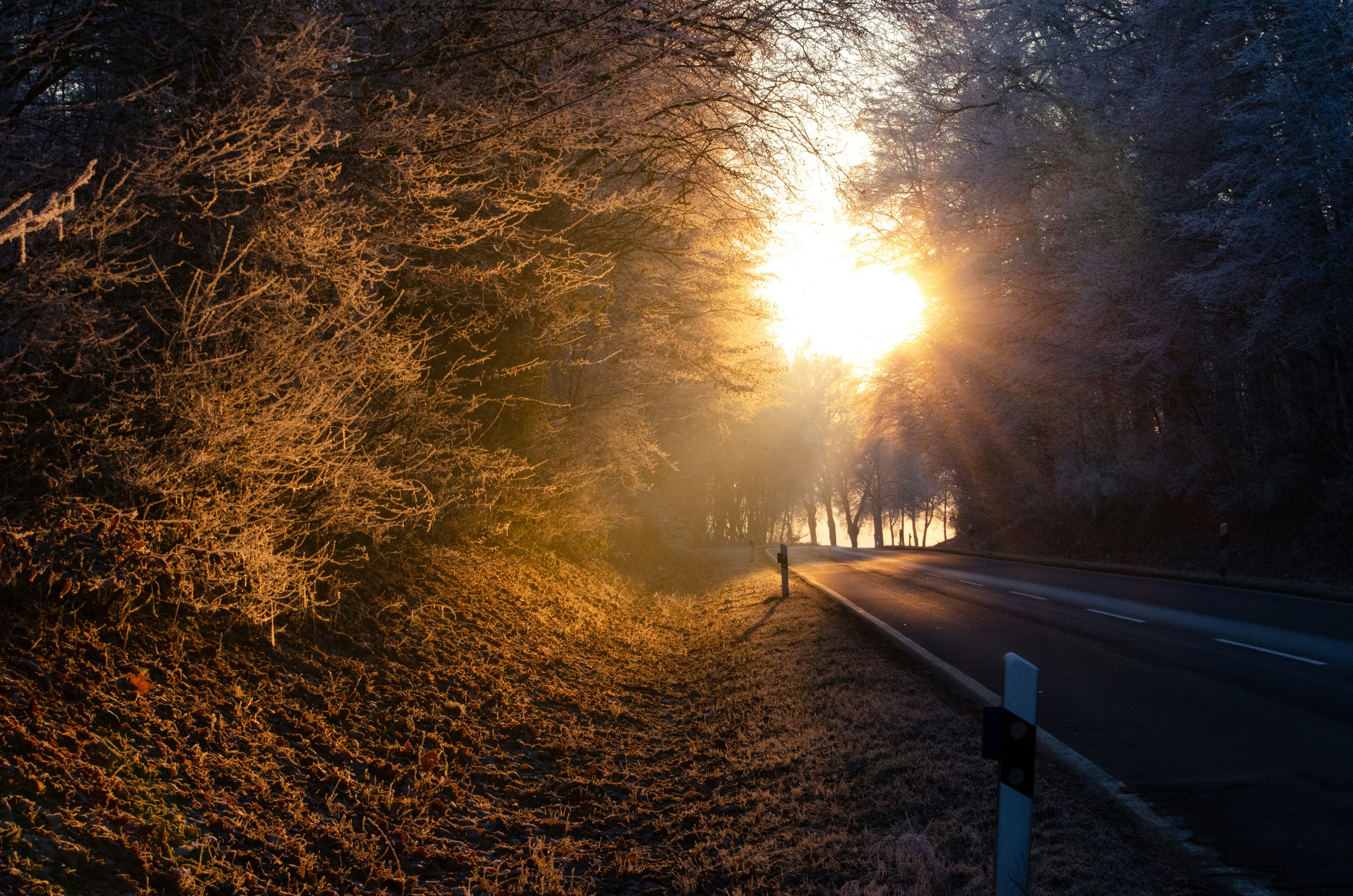 Photo by designbytholen