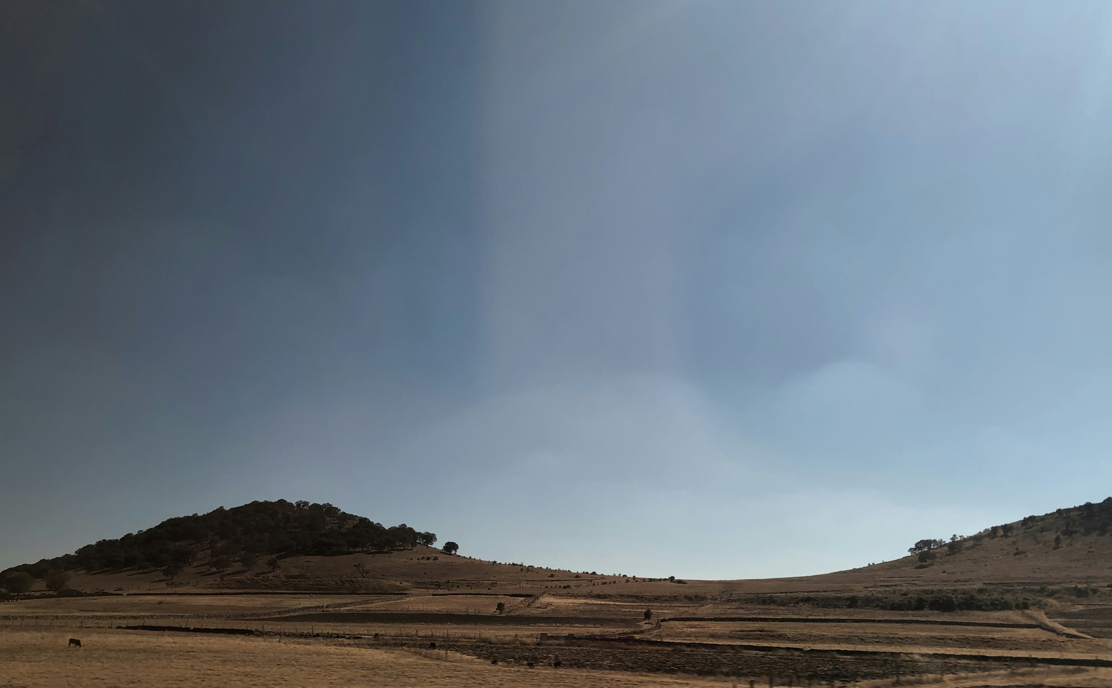 Photo by zorrasanta