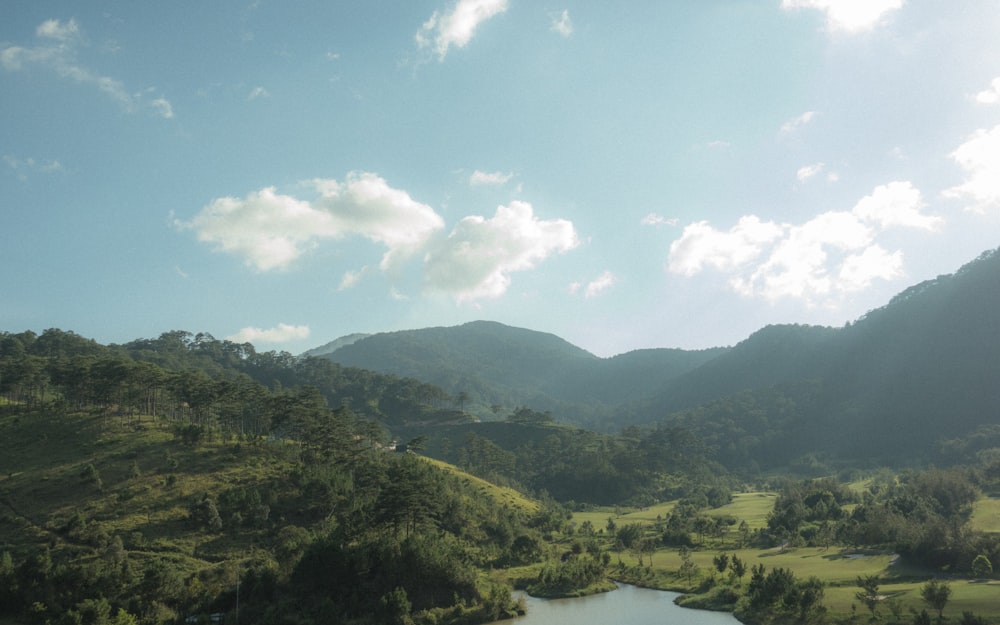 trees in hills