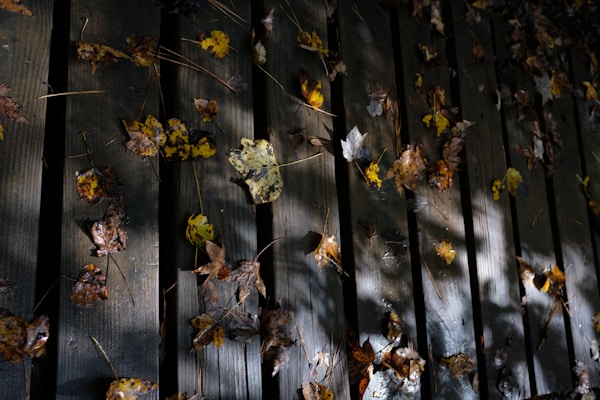 A bright orange leaf blower clearing autumn leaves from a wooden deck.