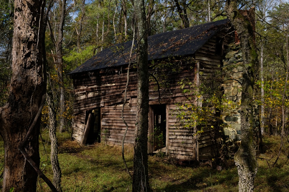 brown and gray cabin