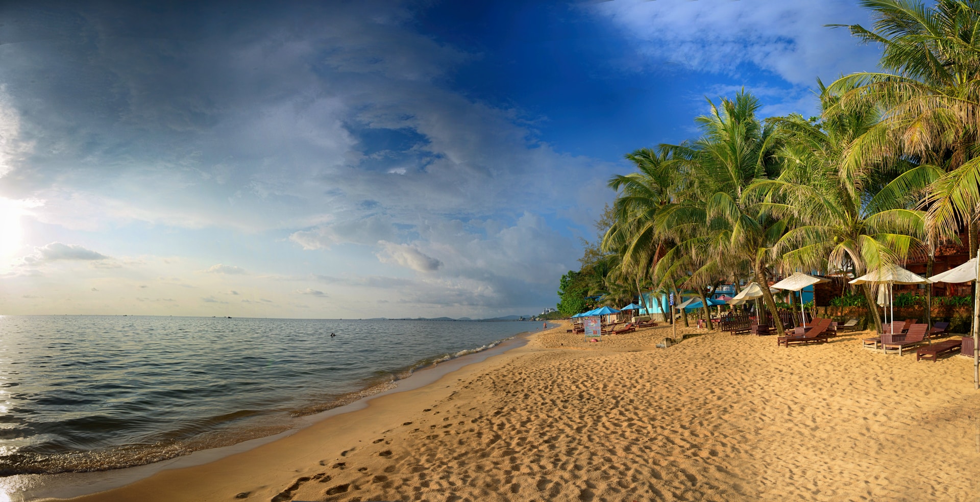 trees on shore