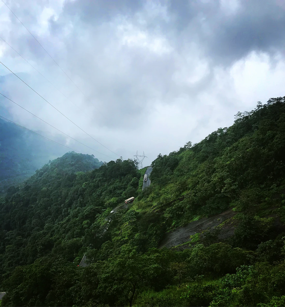 Forested hills disappearing into rain cloud