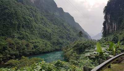 A lush, green valley filled with dense vegetation surrounds a serene, turquoise river. The steep hillsides are covered with trees and plants, with mist or clouds partially obscuring the backdrop. Power lines run diagonally across the scene, cutting through the natural landscape. In the foreground, banana plants and a wooden guardrail are visible along the roadside.