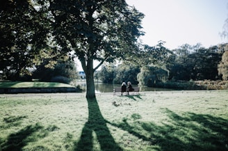 A peaceful park bench with two people resting side by side under a tree.