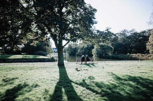 A peaceful park bench with two people resting side by side under a tree.