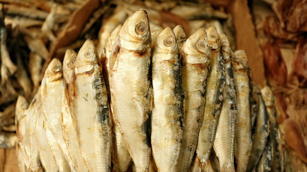 sardinas-ricas-verano-recetas