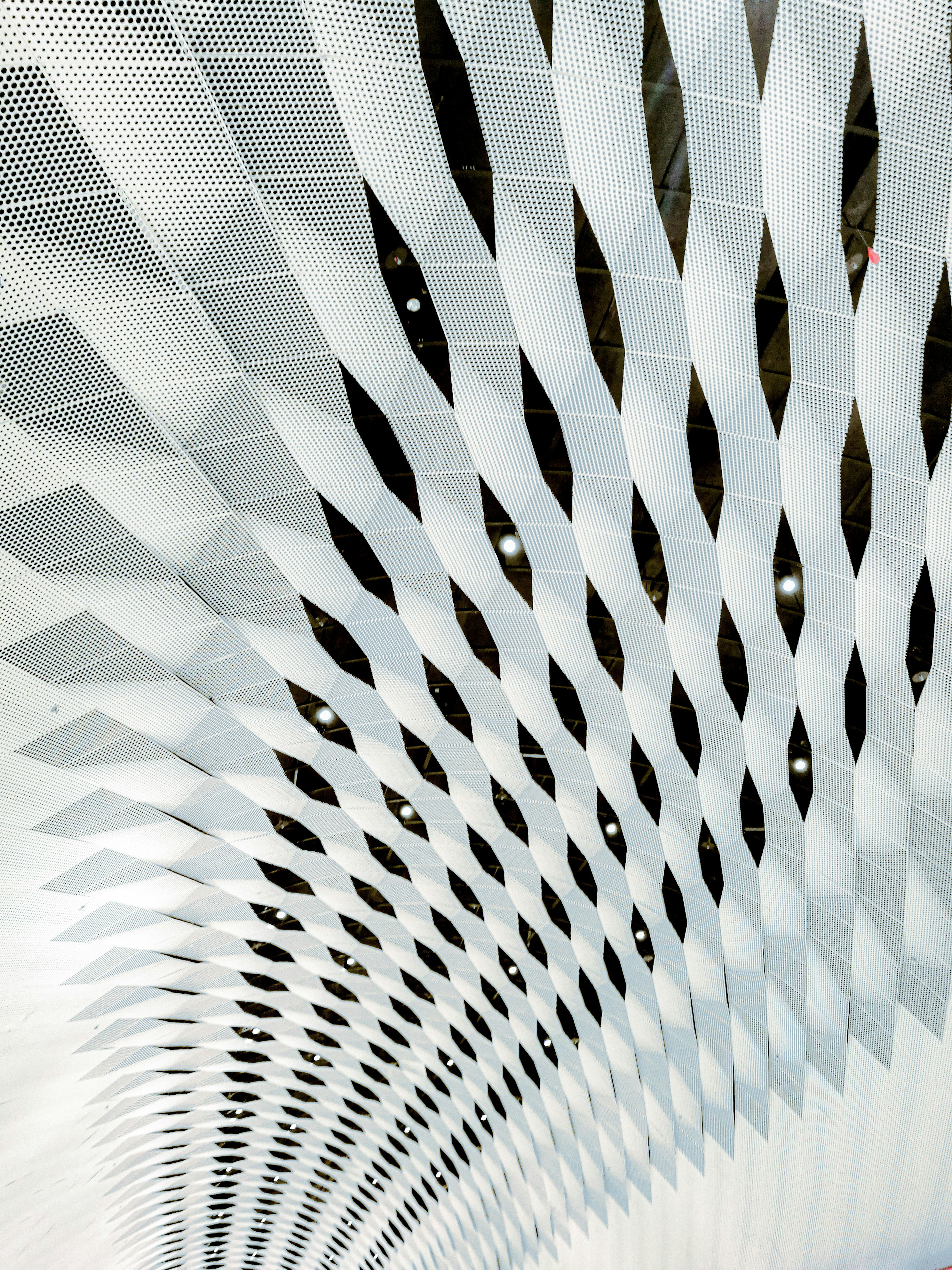 Photo by anantiscrawling