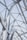 A geometric ceiling design featuring triangular glass panels supported by a network of white, curved metal beams. Natural light floods through the transparent sections, creating an airy and modern architectural appearance.