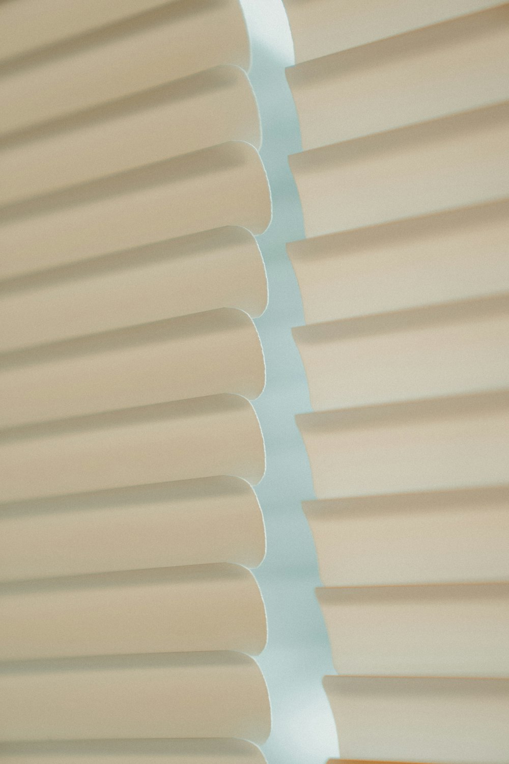 white Venetian blinds