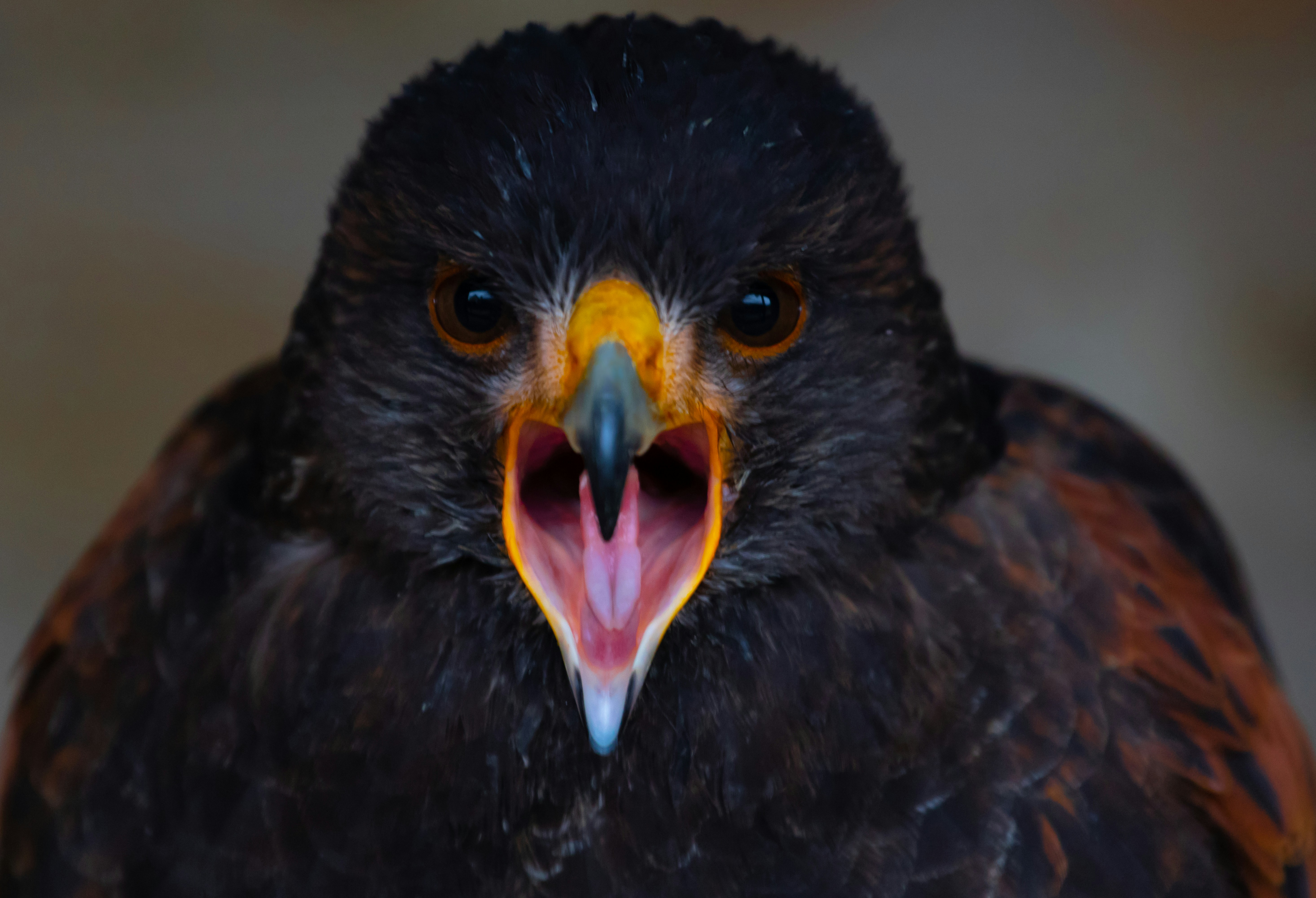 Photo by theotherkev